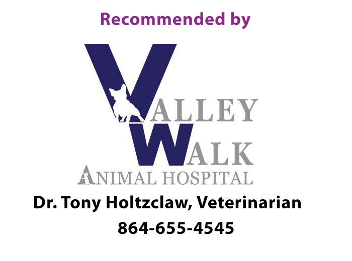 Recommended by Veterinarians